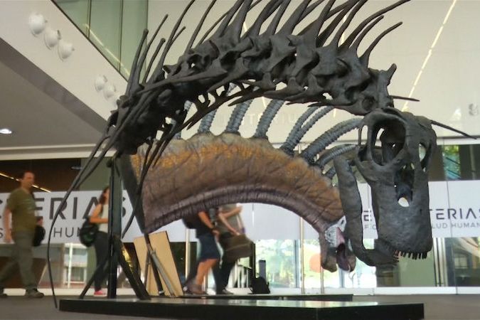 BEZ KOMENTÁŘE: V Buenos Aires vystavili kostru vzácného dinosaura