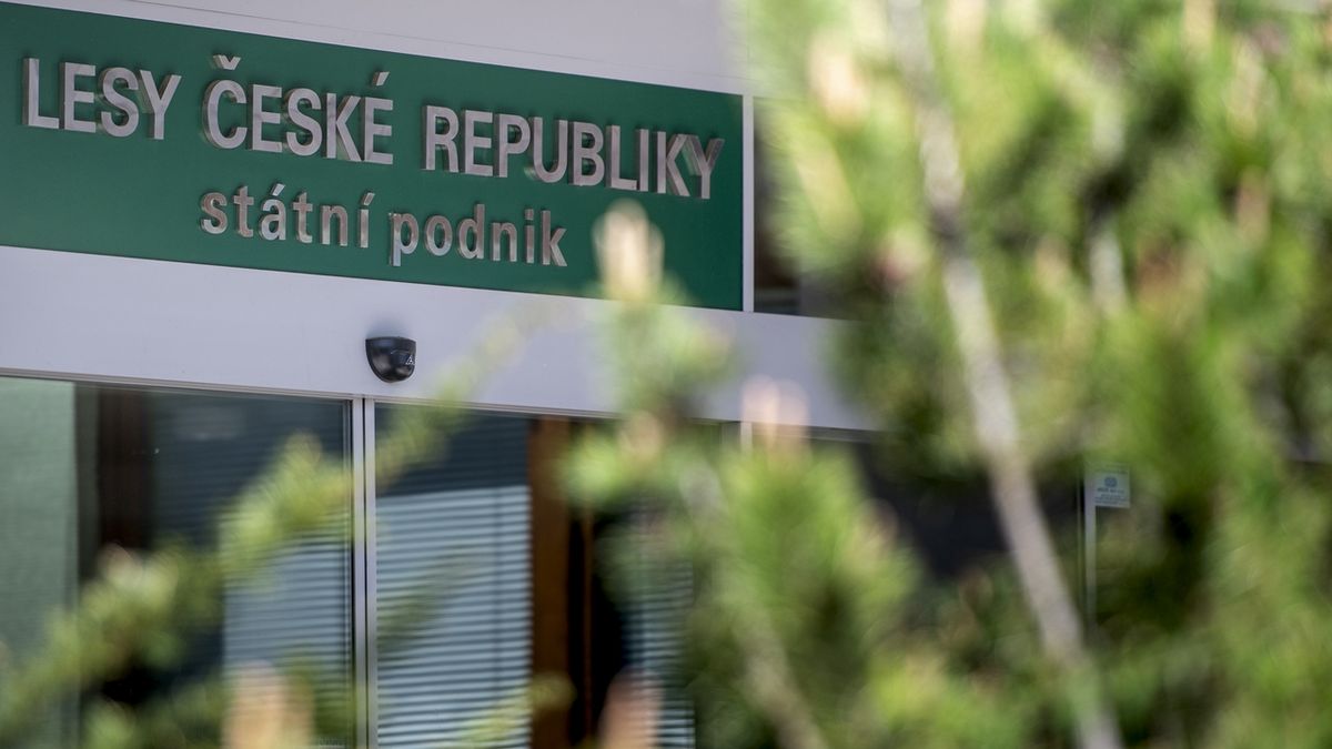 Lesům ČR v prvním pololetí klesl zisk o 19 procent