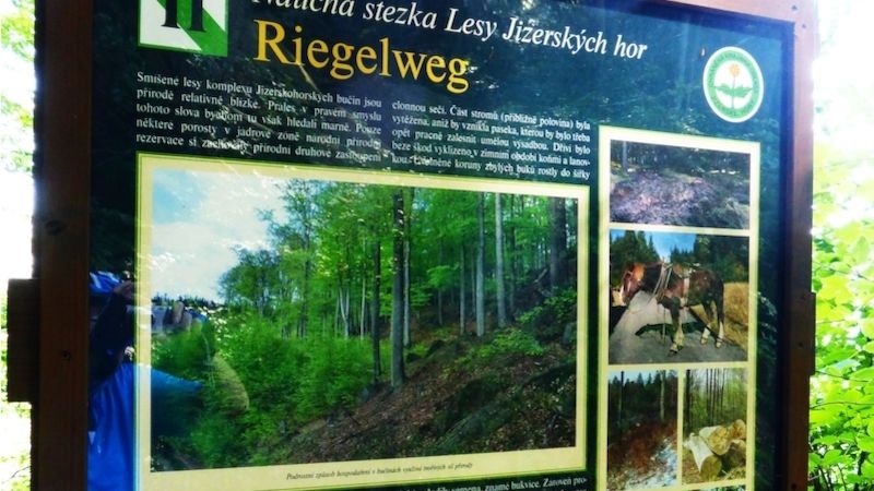 Tabule na Rauscheckově stezce seznámí cyklisty nejen s přírodou, ale i s historií oblasti rezervace Špičák