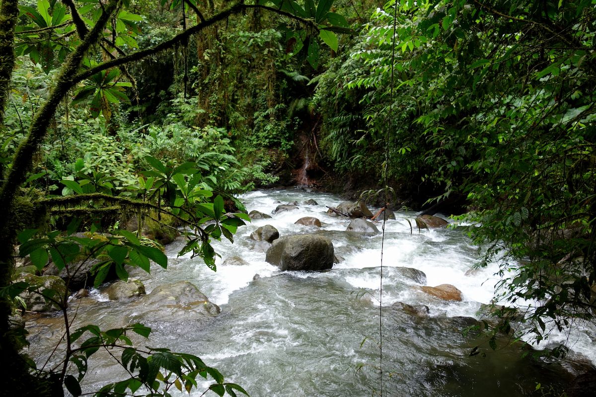 Kostarika se pyšní skoro třicítkou národních parků.