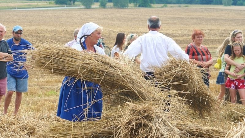 Dožínky slaví mnohé obce na Slovácku. Ty první ještě v červenci, další následují v srpnu.