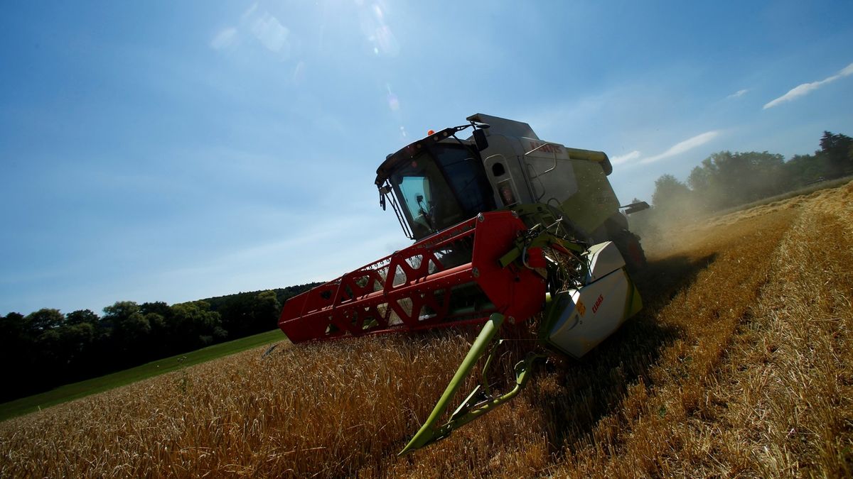 Loni klesly pouze ceny zemědělských výrobců