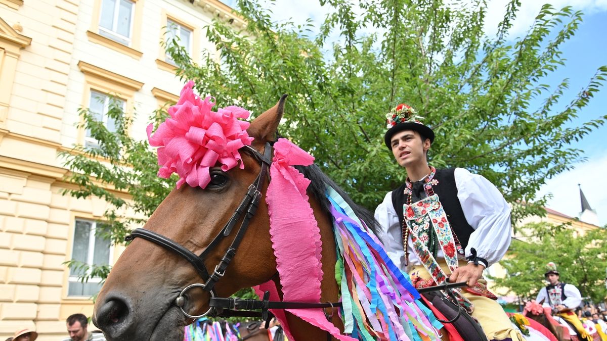 Folklorní festival Slovácký rok 18. srpna 2019 v Kyjově zpestřila jízda králů v podání chasy z nedalekých Skoronic. Mladého krále v dívčím kroji s růží v ústech tradičně doprovází 25 jezdců.