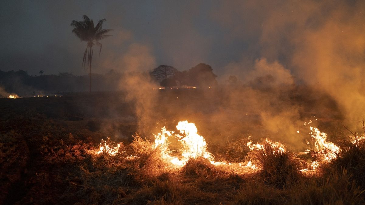 Požár buše u Nova Santa Helena v brazilském státě Mato Grosso