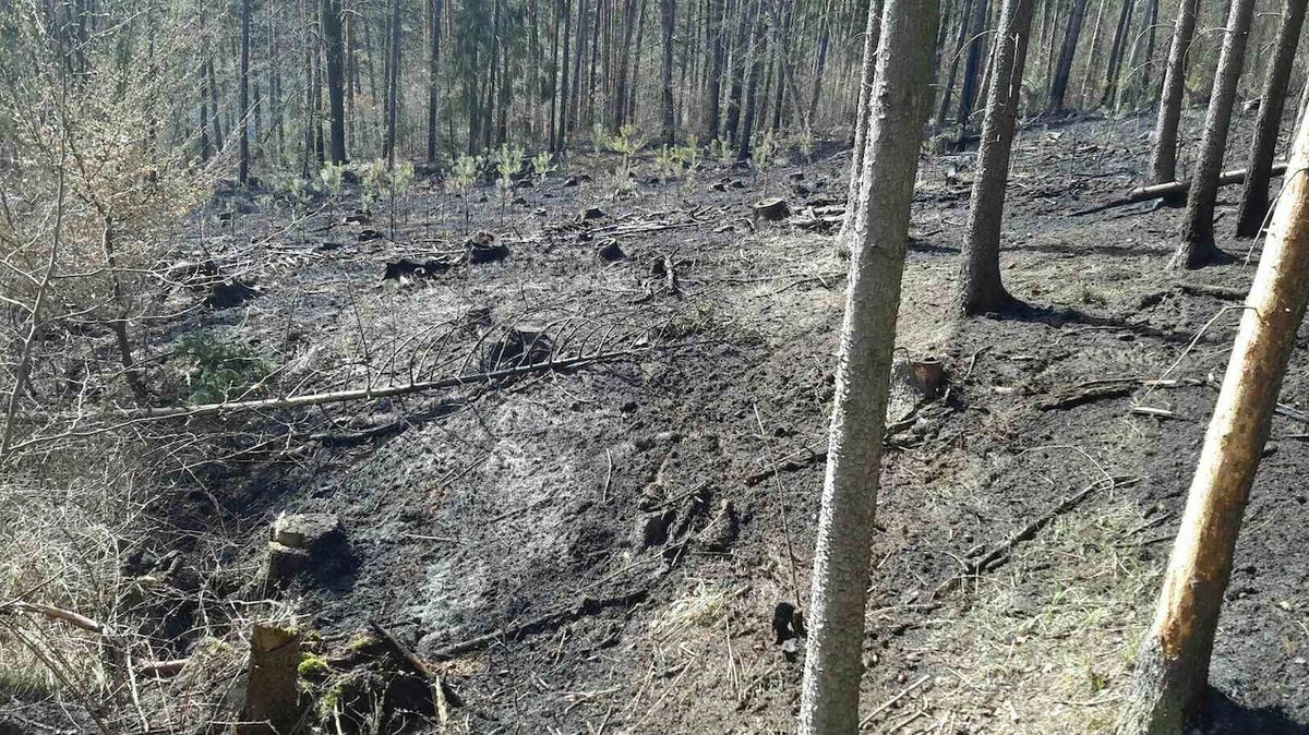 Hasiči likvidují požár lesa u Oslavan