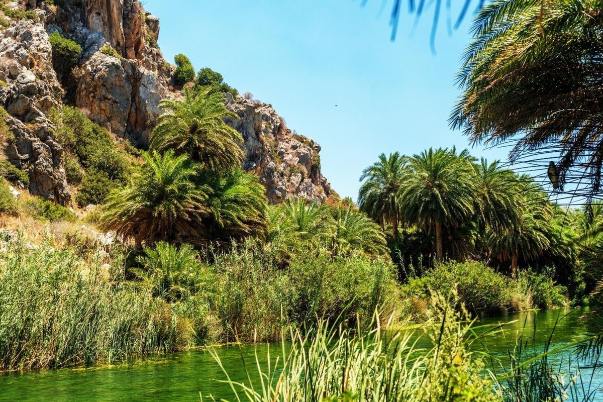 Na ostrově najdete jediný přirozený palmový háj v Evropě.