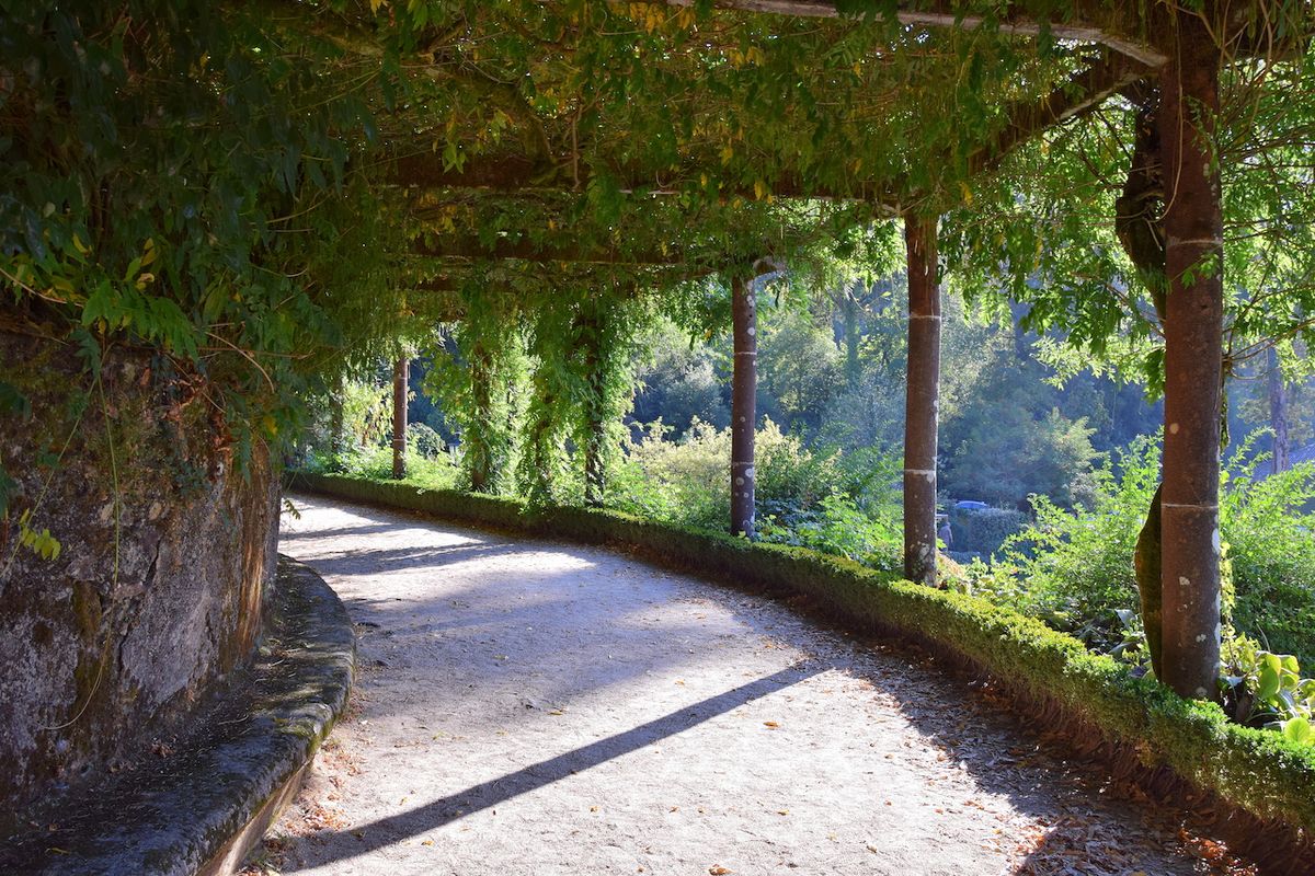 Arboretum skýtá četná romantická zákoutí.