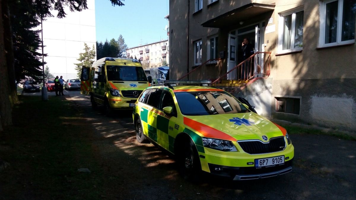 Psychicky nemocný muž v úterý v azylovém domě v Domažlicích odzbrojil a postřelil policisty a následně spáchal sebevraždu.