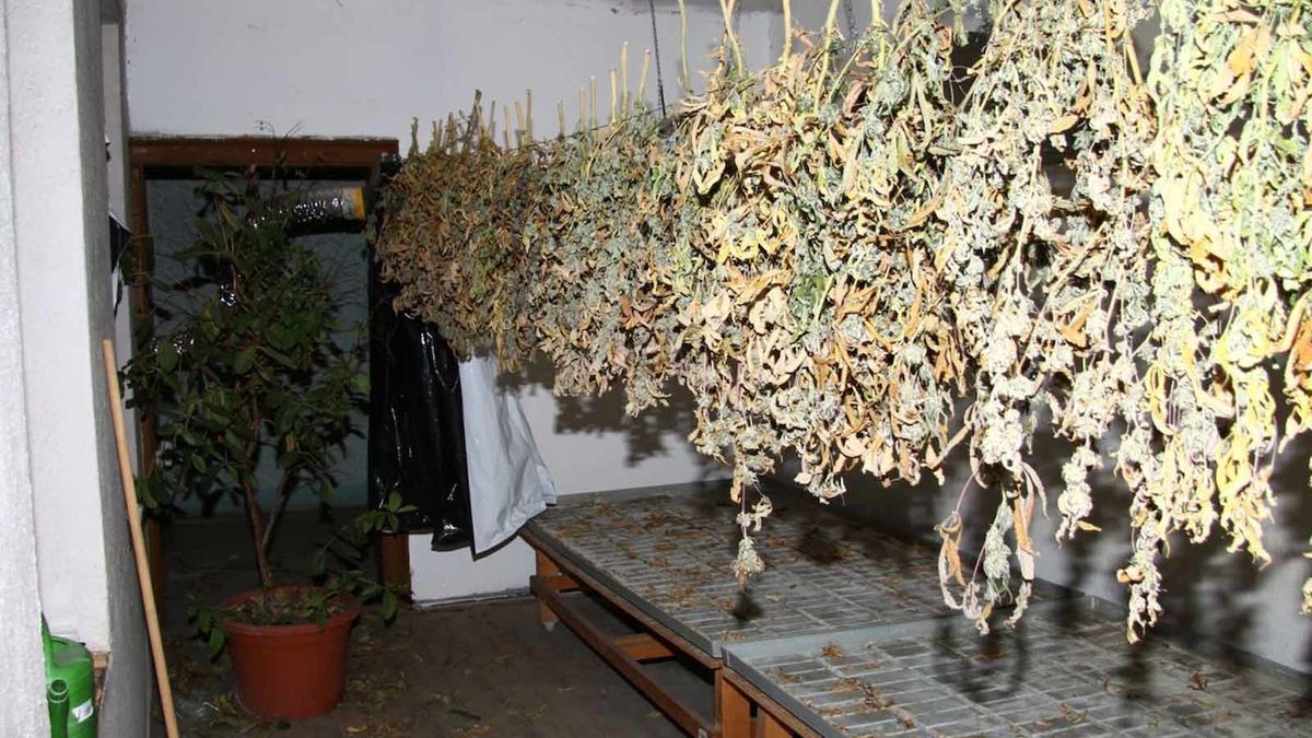 Policie zabavila dům údajným výrobcům drog