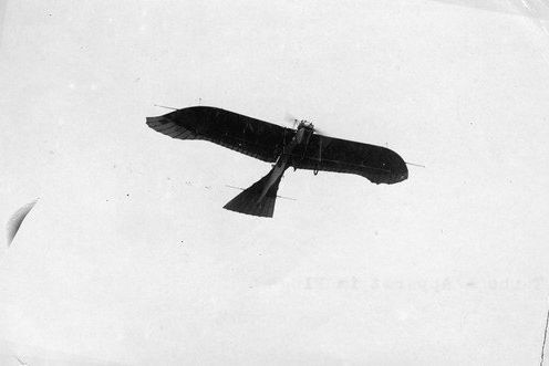 Letadlo Etrich Taube, 1910