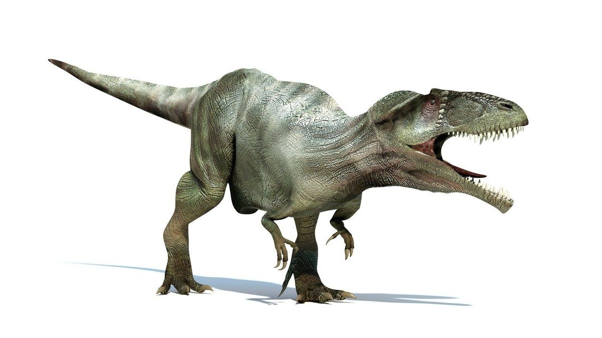Veleještěr Giganotosaurus carolinii