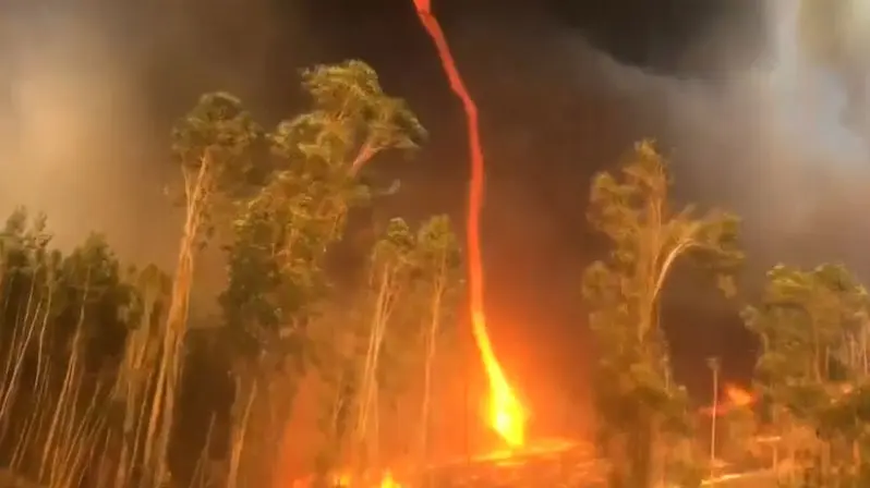 Australskou Busi Se Prohnalo Ohnive Tornado Novinky Cz