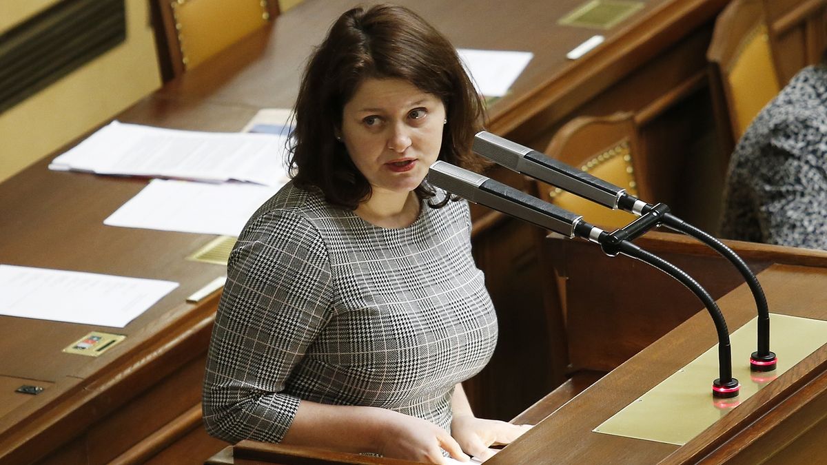 Ministryně práce a sociálních věcí Jana Maláčová (ČSSD) ve Sněmovně.