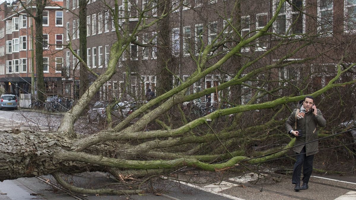 Bouře Friederike udeřila také v Nizozemsku. Snímek je z Amsterdamu. 