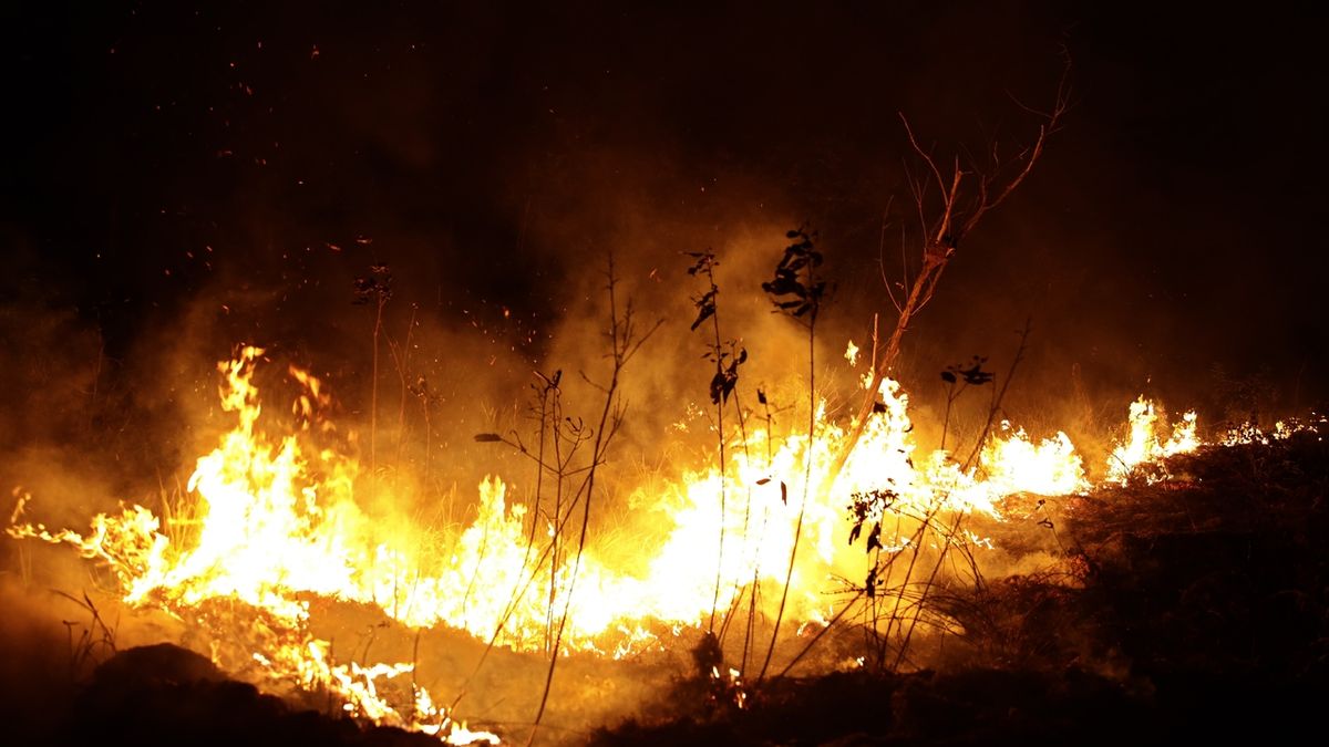 Požárů v Amazonii je proti loňsku o 83 procent více. 