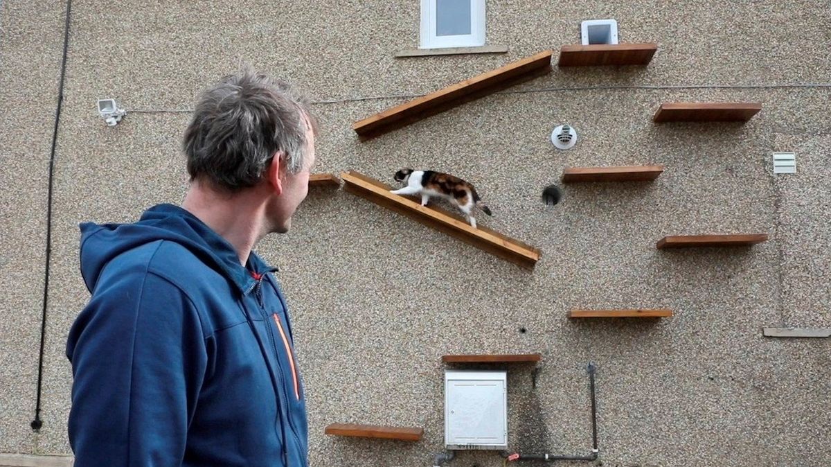 Majitel vyrobil pro svou kočku samostatný vstup do domu, včetně speciální přístupové cestičky.