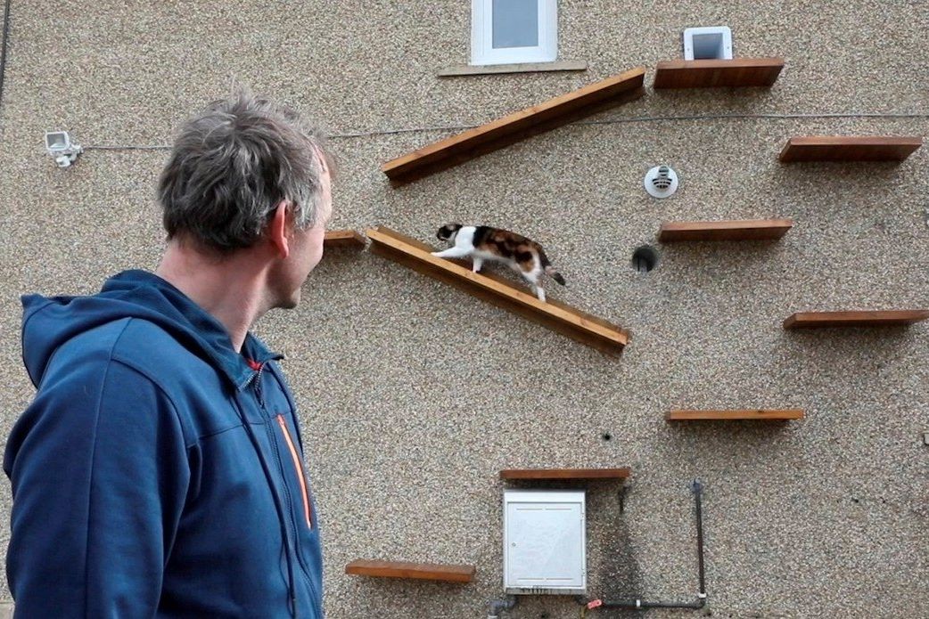 Majitel vyrobil pro svou kočku samostatný vstup do domu včetně speciální přístupové cestičky.