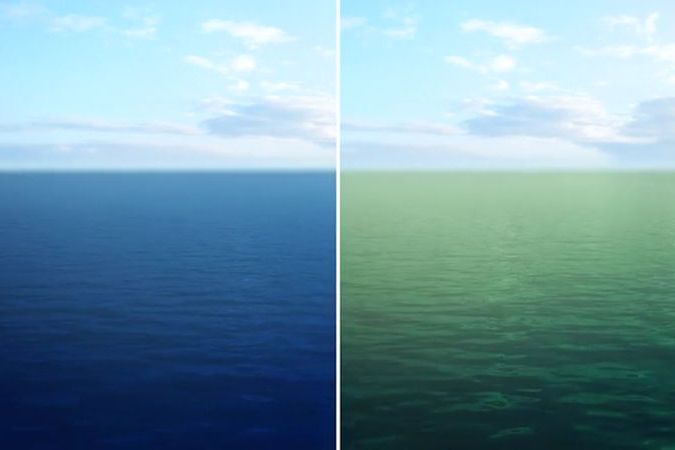 Do konce století budou mít oceány tmavší barvu