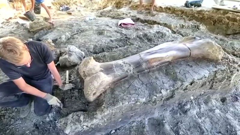 BEZ KOMENTÁŘE: Paleontologové našli ve Francii obří dinosauří kost