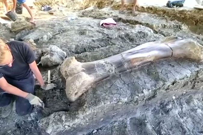 BEZ KOMENTÁŘE: Paleontologové našli ve Francii obří dinosauří kost