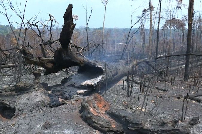 BEZ KOMENTÁŘE: Lesní požáry dál spalují Amazonii