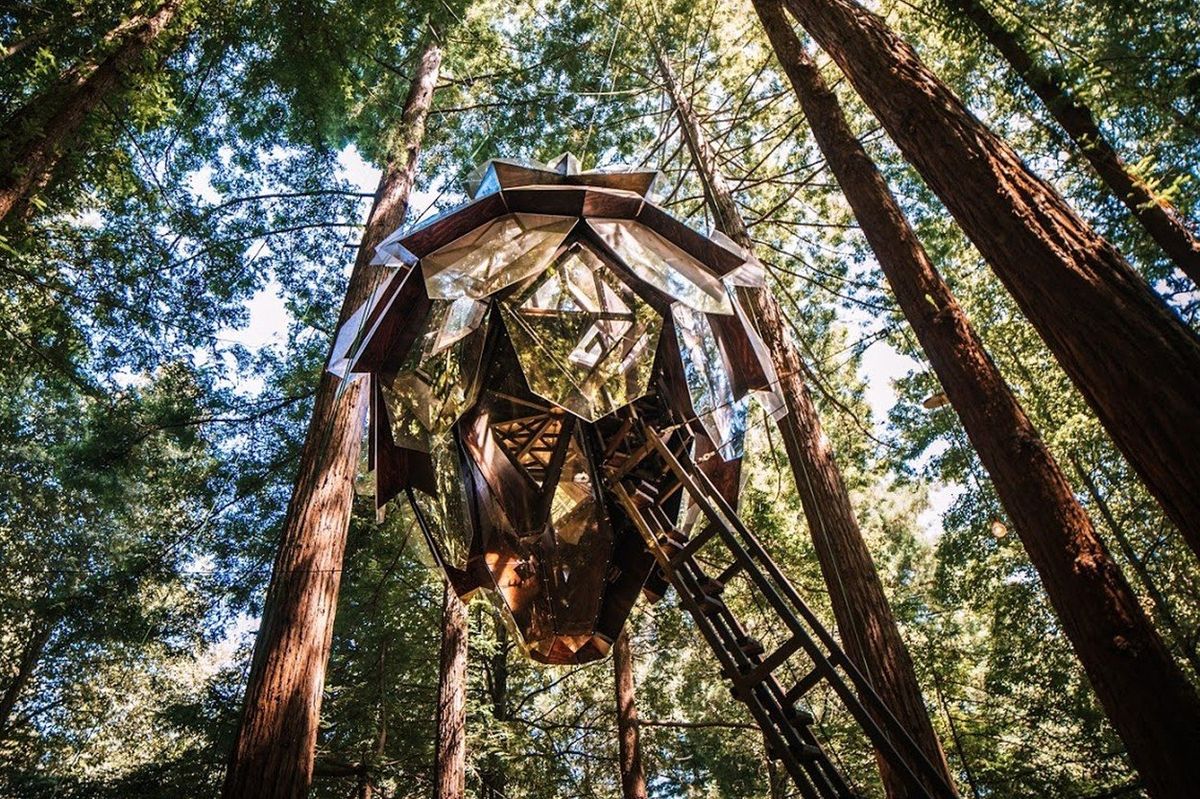 Stromový domek na první pohled chytne za srdce každého milovníka geometrie i přírodou inspirovaných staveb.