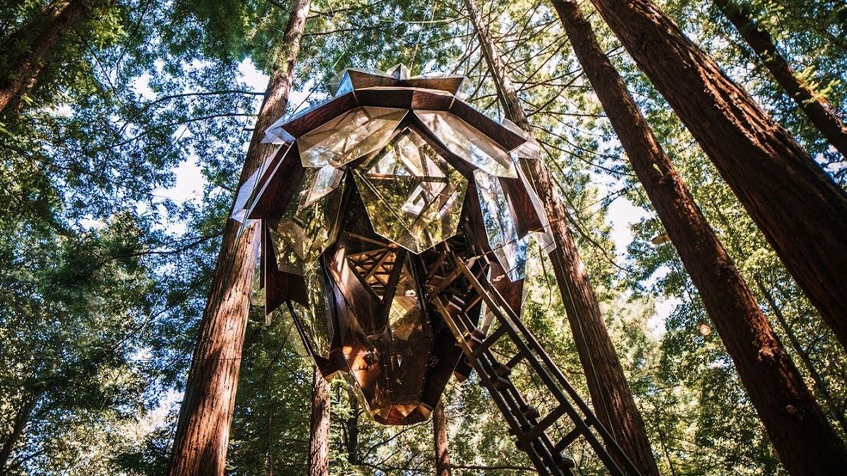 Stromový domek na první pohled chytne za srdce každého milovníka geometrie i přírodou inspirovaných staveb.