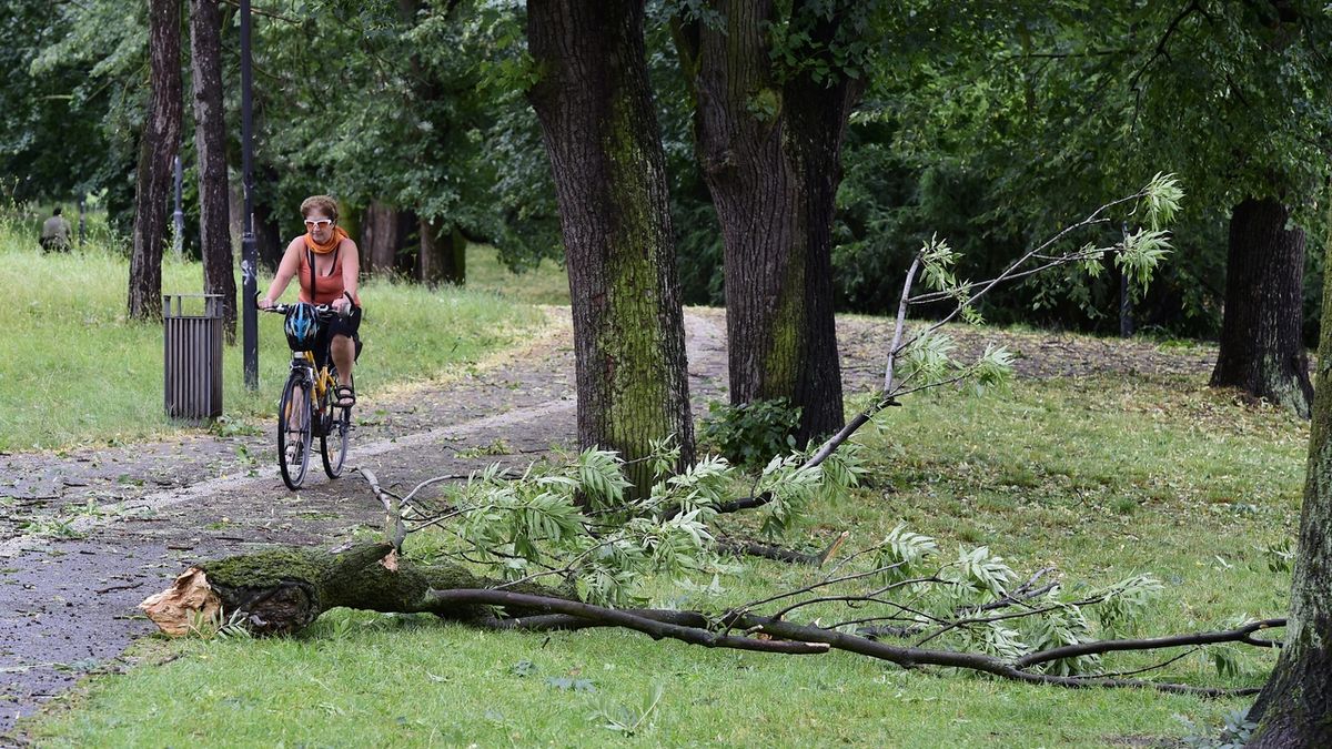 Škody ve Smetanových sadech v Olomouci po bouři s kroupami, která se nad městem přehnala 1. července 2019 odpoledne.