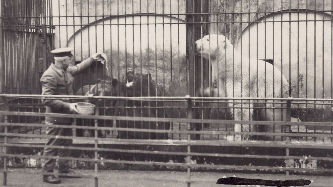 Archívní foto ze zoologické zahrady v Liberci, která byla založena před 99 lety.
