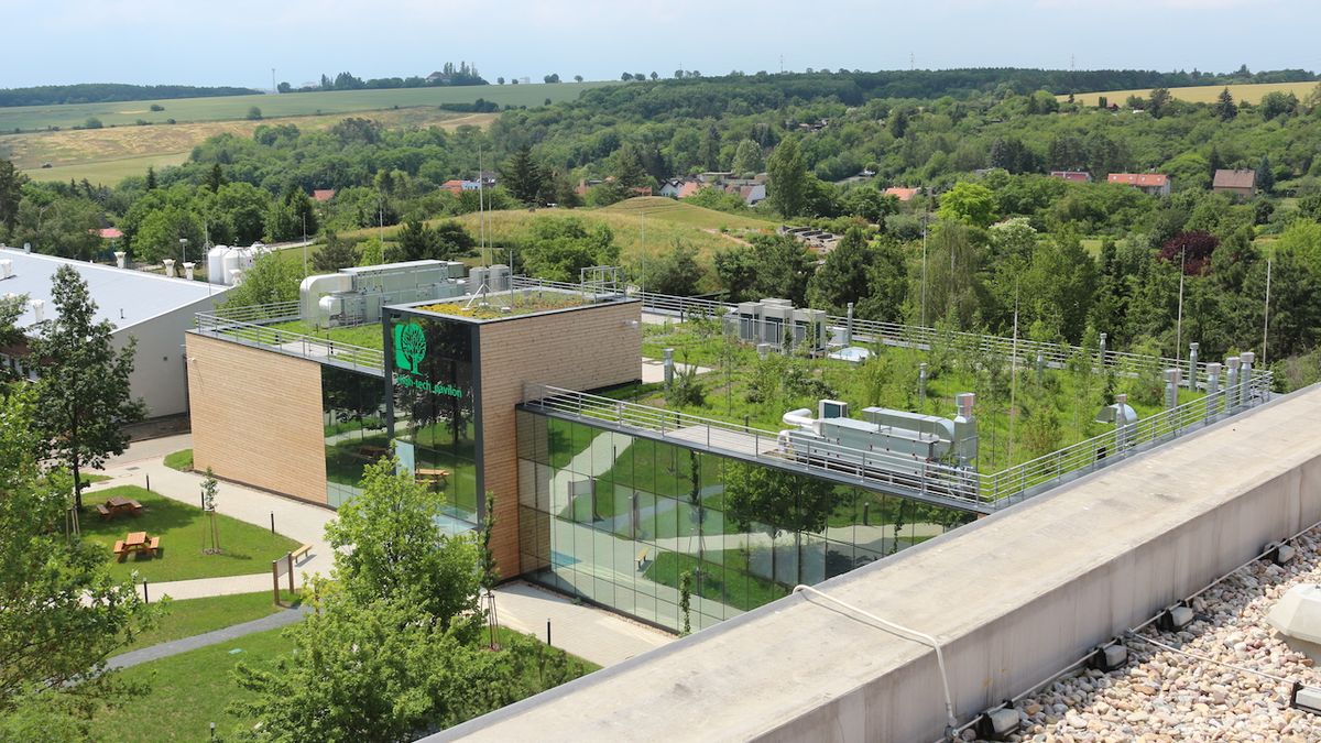 ČZU je opět nejekologičtější univerzitou v Česku, uspěla i v mezinárodním srovnání
