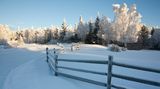 Pětiletá dívka na Aljašce ušla téměř kilometr v 35stupňovém mraze s bráškou v náručí