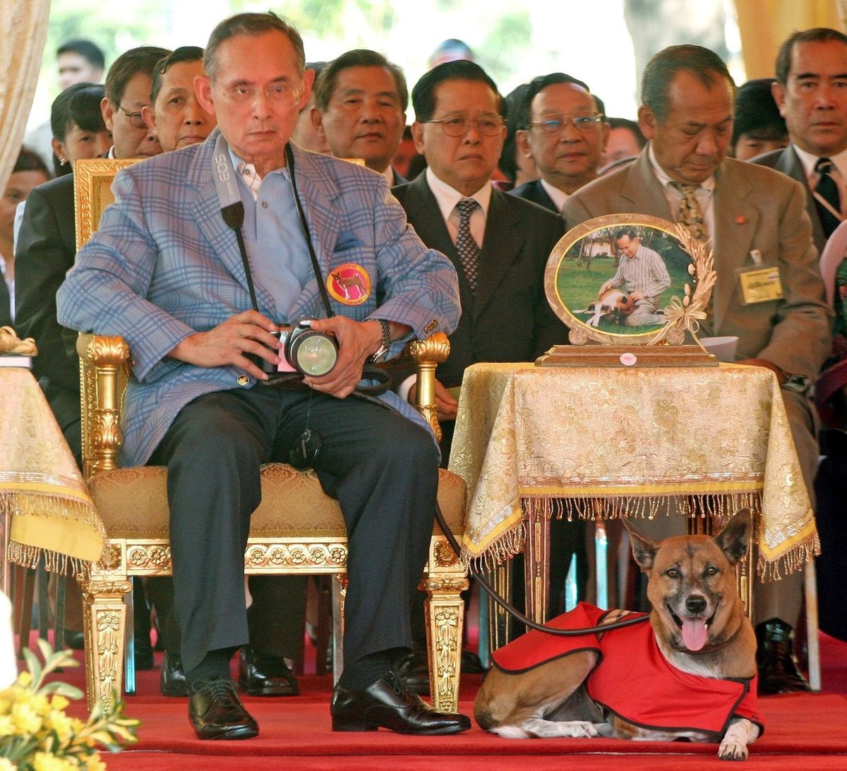 Král Pchúmipchon Adunjadét a fenka Tongdaeng na snímku z roku 2005. Fenka dělala panovníkovi společnost na většině oficiálních akcí.