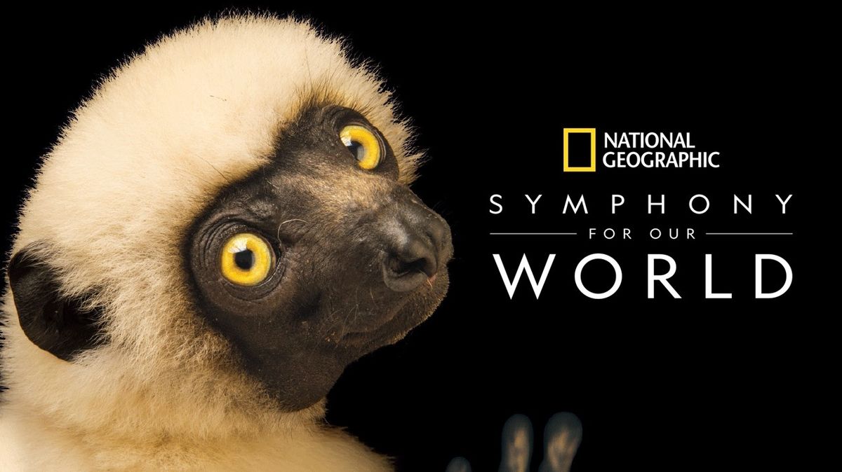 National Geographic: Symfonie našeho svět