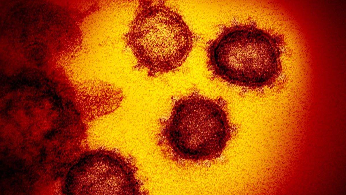 Zmutovaný koronavirus není důvod k panice, uklidňují vědci