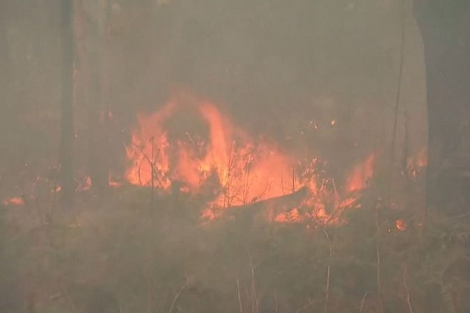 BEZ KOMENTÁŘE: Lesní požáry v Austrálii se stále nedaří uhasit