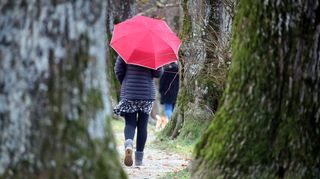 Teploty půjdou nahoru, ale dorazí také déšť a může se i blýskat