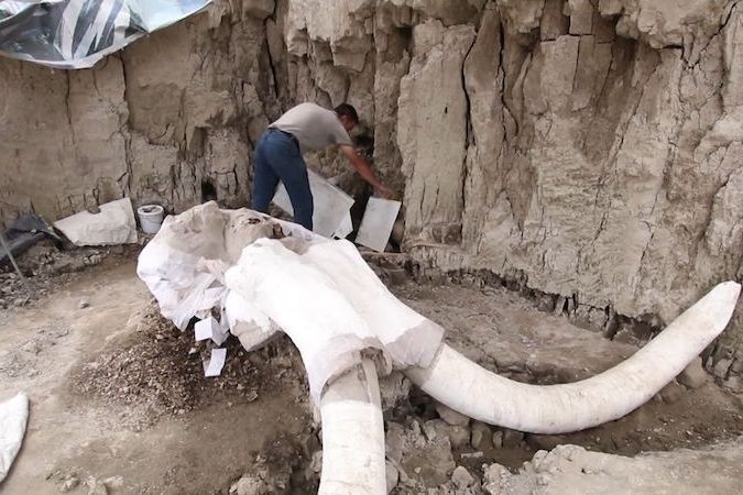 BEZ KOMENTÁŘE: V Mexiku objevili 15 000 let staré jámy na lovení mamutů