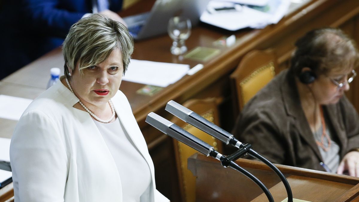Poslankyně STAN Věra Kovářová na říjnové schůzi Sněmovny