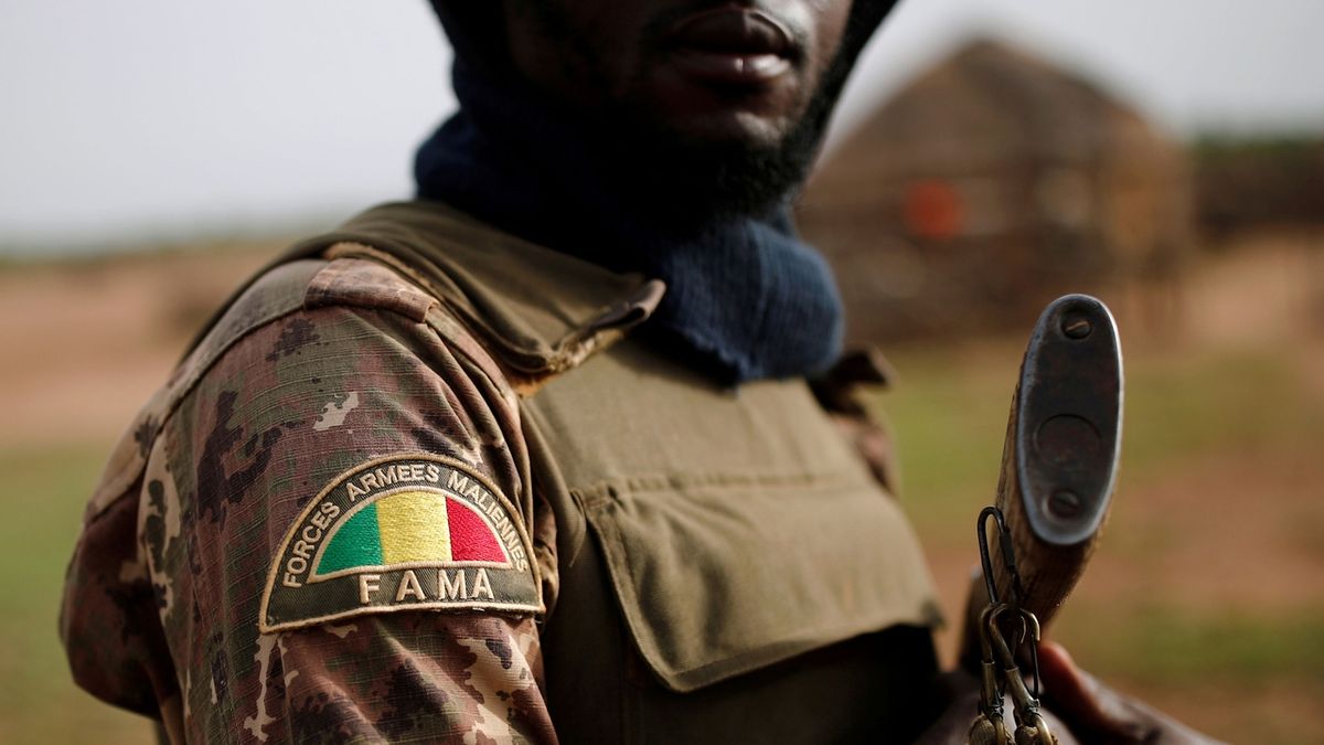 Maliský voják, ilustrační foto 