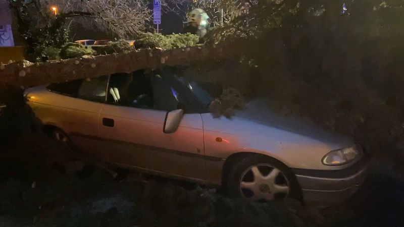 V pražské Hostivaři spadl strom na několik aut