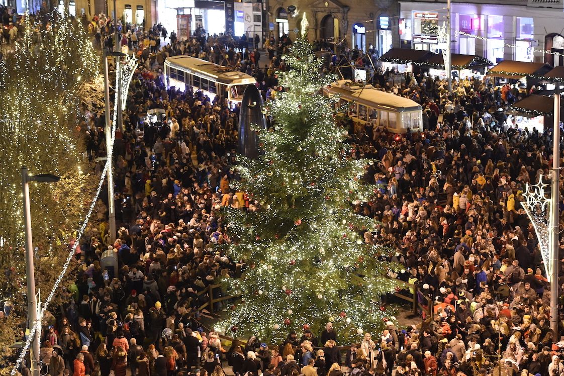 Slavnostní rozsvícení vánočního stromu v Brně