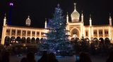Desetimetrový vánoční strom v Kodani zdobí více jak tři tisíce krystalů 