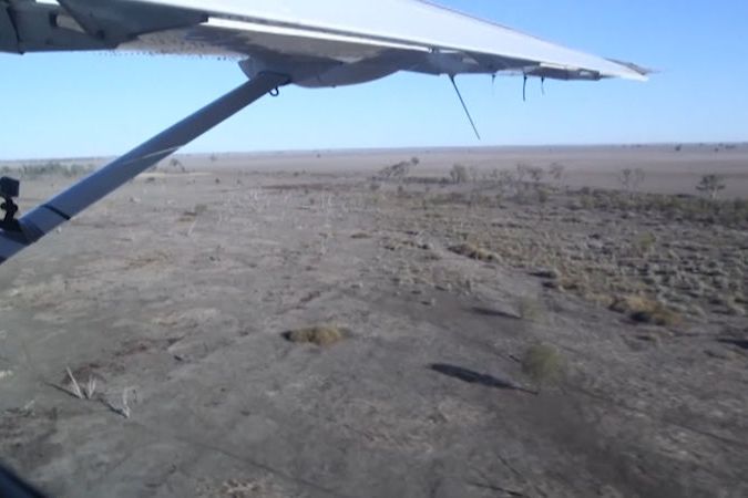 BEZ KOMENTÁŘE: Kvůli suchu uhynulo na východě Austrálie 90 procent vodního ptactva