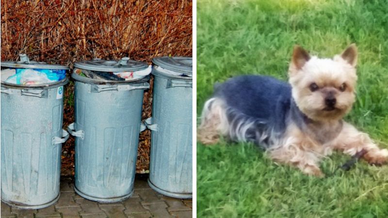 Poplatky za odpad a psy zůstávají ve Frýdku-Místku stejné
