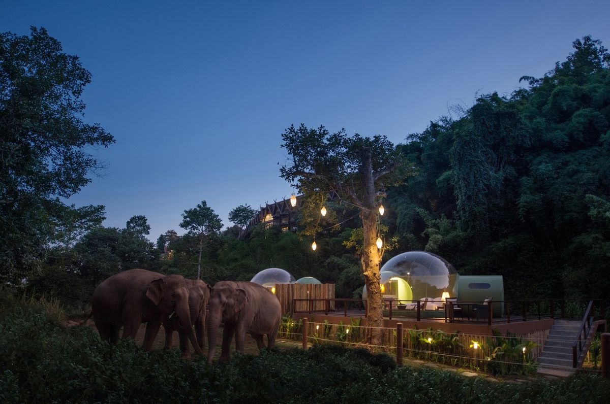 Hosté v bublinách mají možnost kochat se nerušeným výhledem na okolní přírodu, na nebe i na slony.