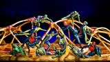 Na Letné vyroste obří šapitó Cirque du Soleil pro 2500 lidí 