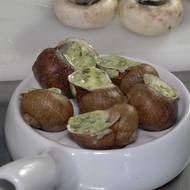 Asi neznámější úprava šneků je  po burgundsku – s česnekem a bylinkovým máslem. Existuje však mnoho dalších delikates, například šnečí kaviár, játra či paštika. Dají se kombinovat i s lanýži či medvědím česnekem.