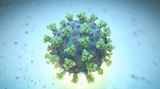 Koronavirus se rozšířil extrémně rychle. Postupně se mění a adaptuje 