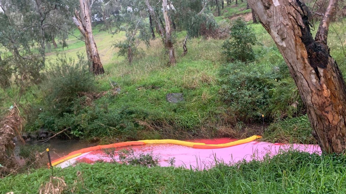 Potok v Austrálii má sytě růžovou barvu, nikdo zatím neví proč