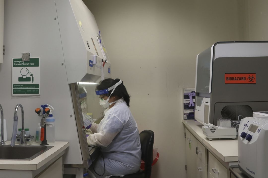 Laboratoř pro zkoumání vzorků koronaviru